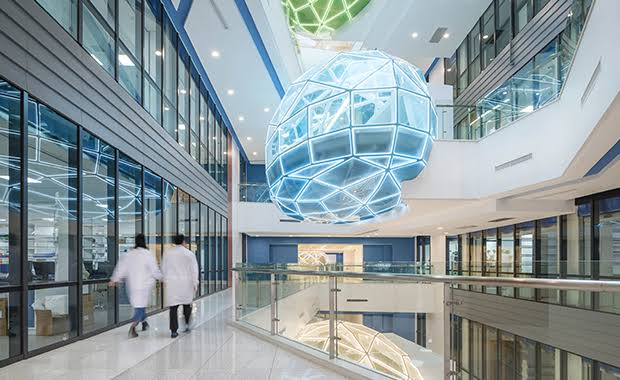School of Medicine